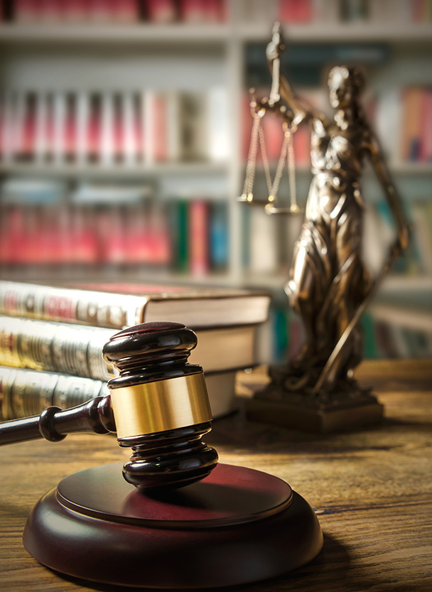 M/s.RAJESH ASSOCIATE & ADVOCATES legal team expertise in property law
